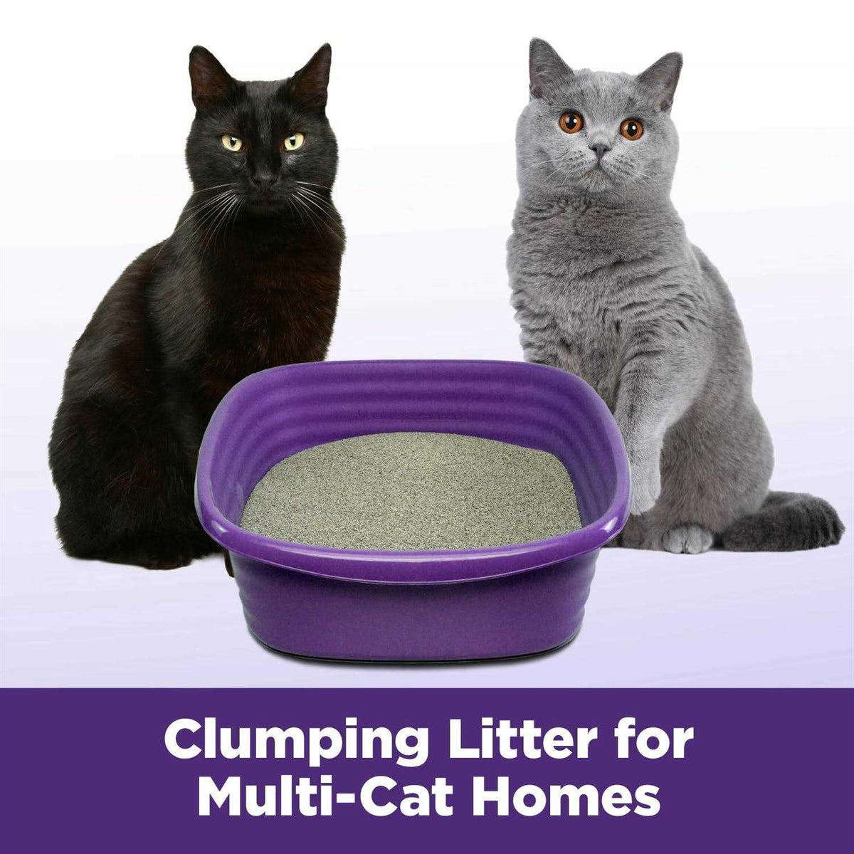 Slide Easy Clean-Up Clumping Cat Litter Y21408