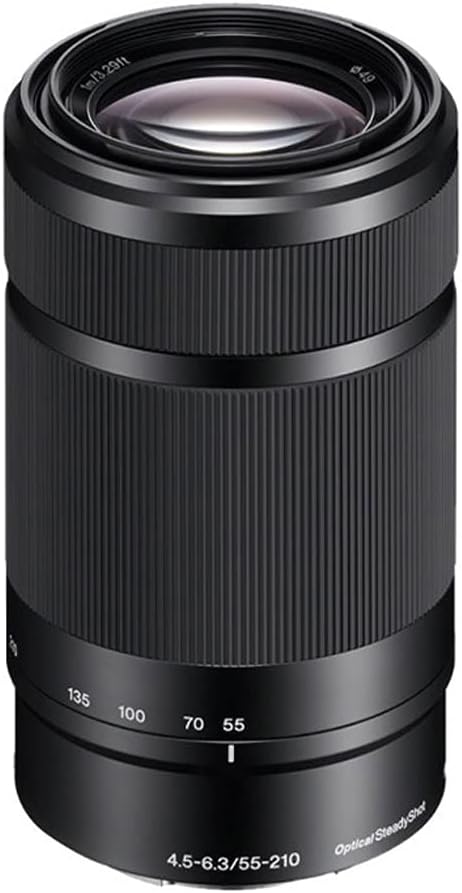 24.3MP Mirrorless Camera with 16-50mm & 55-210mm Zoom Lens (Black) and 64GB Accessory Bundle J1283
