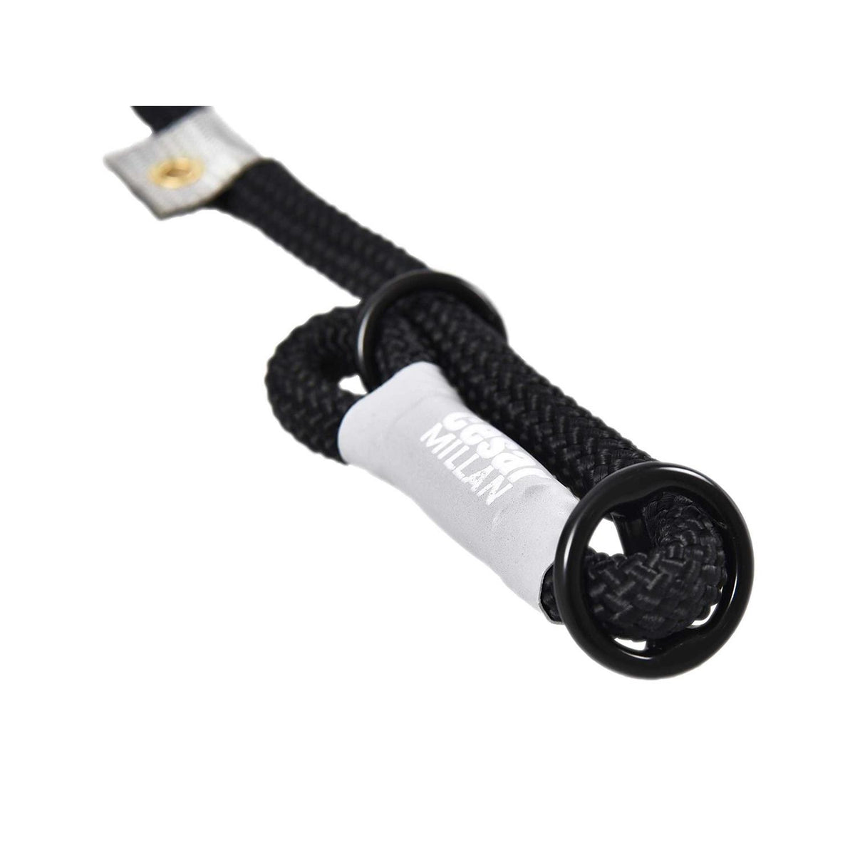 Slip Lead Leash 2-in-1 Dog Training Lead & Collar G873717