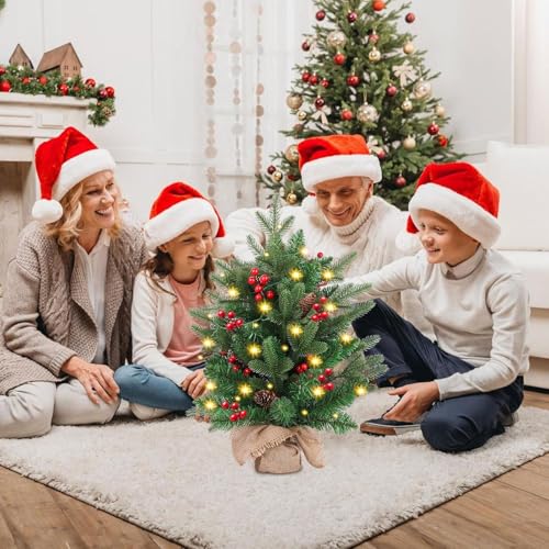 20 inch Small Christmas Tree with Lights H84077