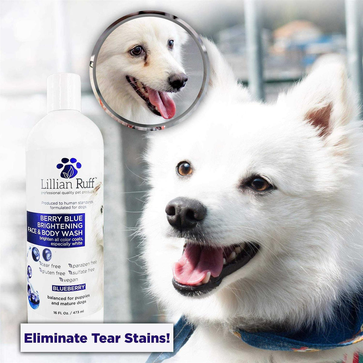 Berry Blue Brightening Face and Body Wash for Dogs and Cats K39616