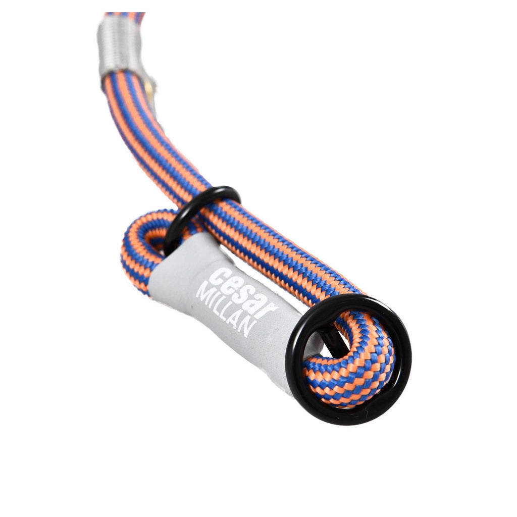 Slip Lead Leash 2-in-1 Dog Training Lead & Collar G873717