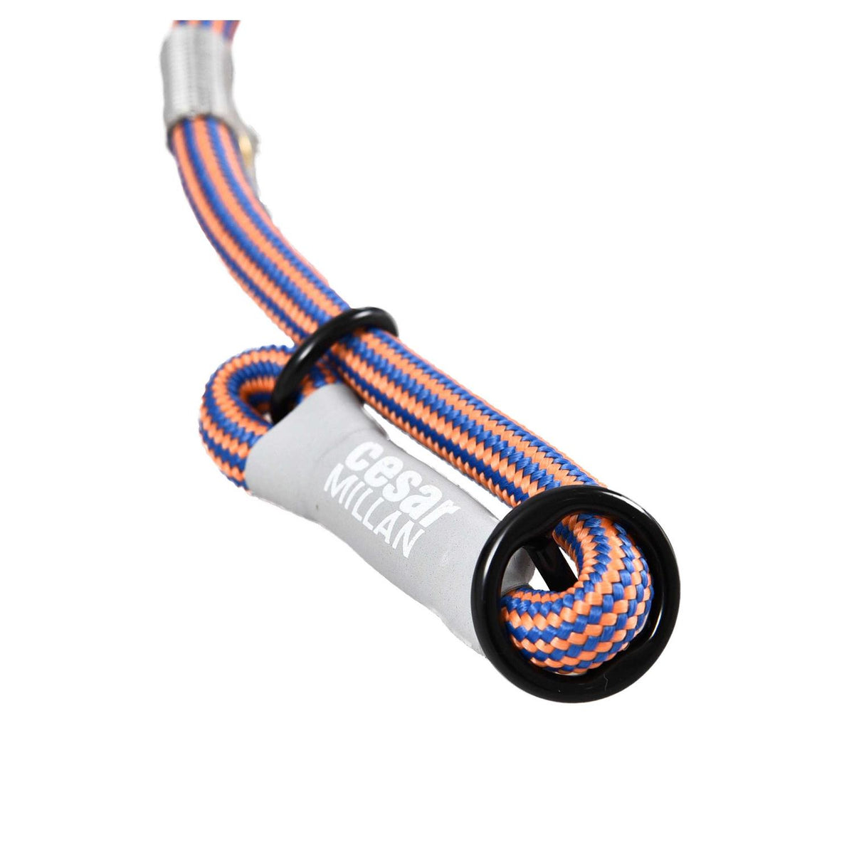 Slip Lead Leash 2-in-1 Dog Training Lead & Collar G873717