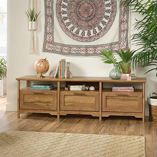 Contemporary Wood TV Stand E769