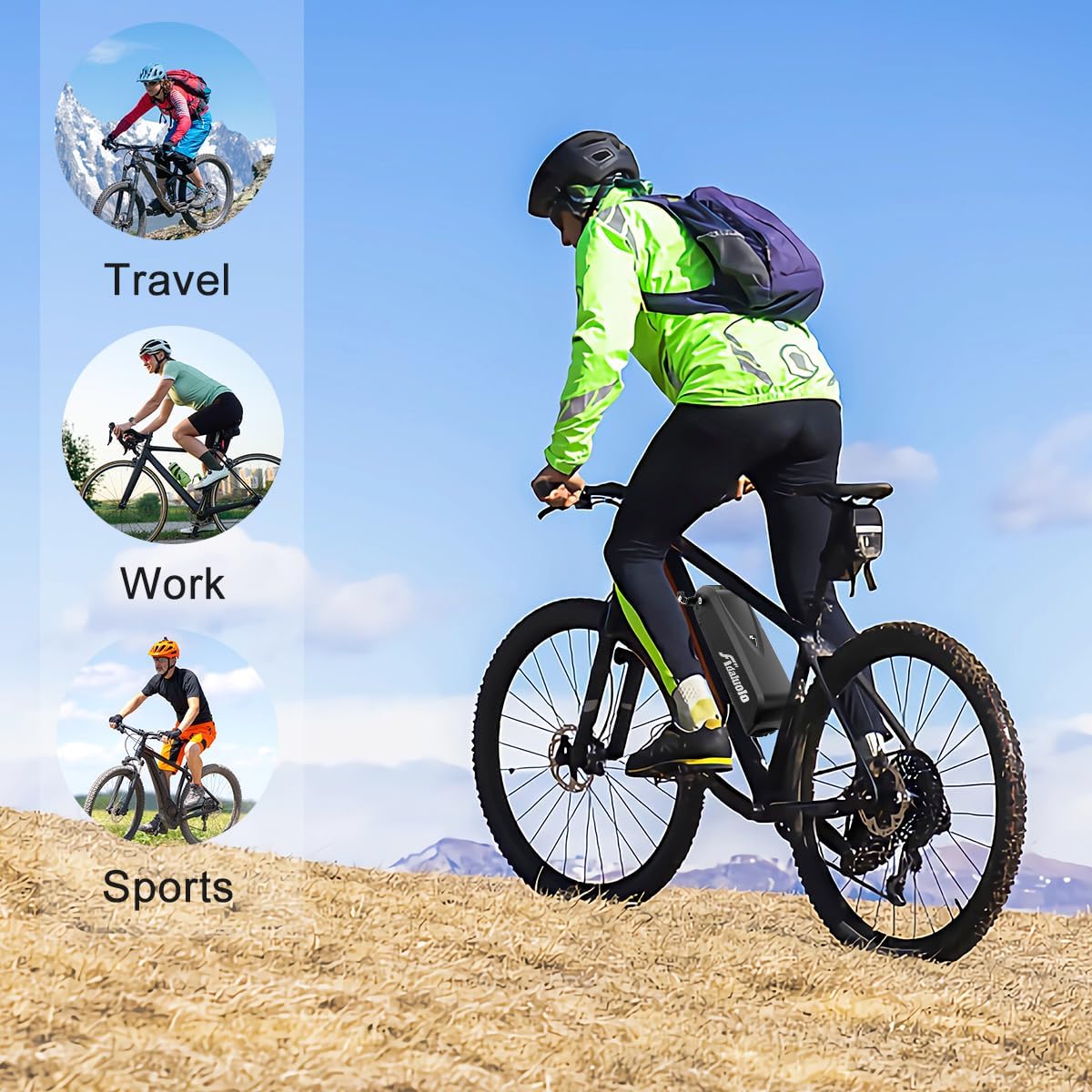 48V 20AH Lithium ion Electric Bike Battery Pack with Charger E856