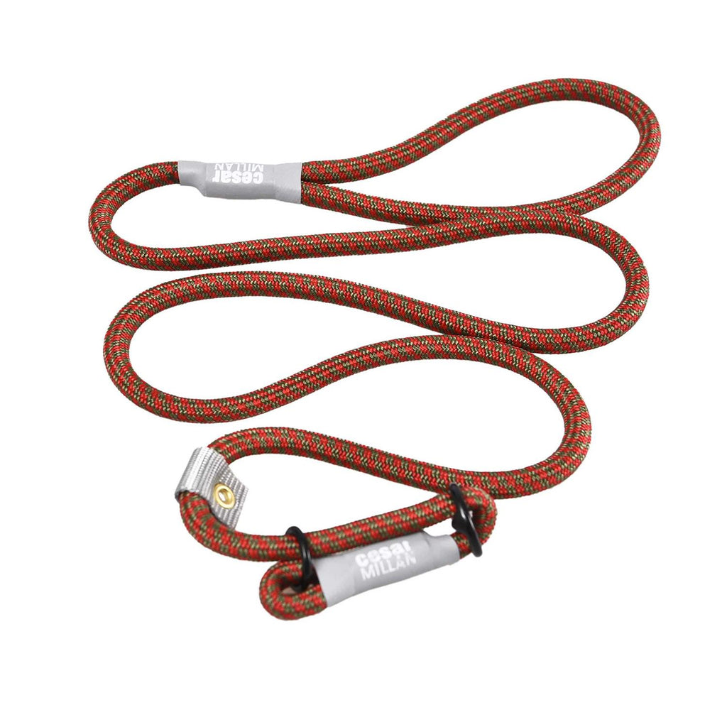 Slip Lead Leash 2-in-1 Dog Training Lead & Collar G873717