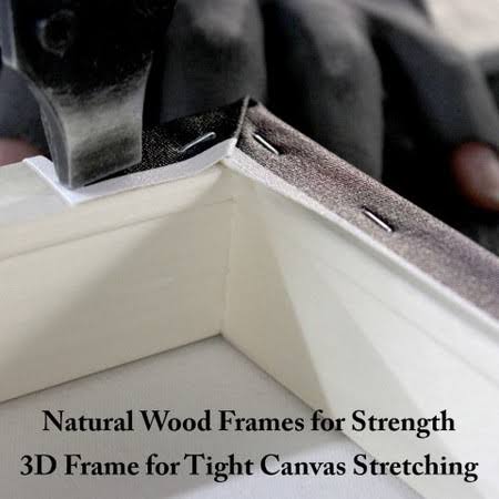 Canvas D972