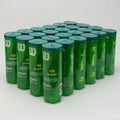 Green Tennis Balls 24 Cans P811