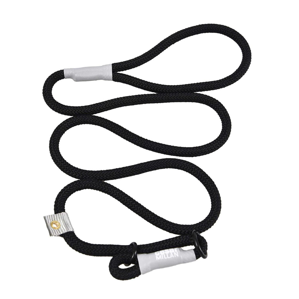 Slip Lead Leash 2-in-1 Dog Training Lead & Collar G873717