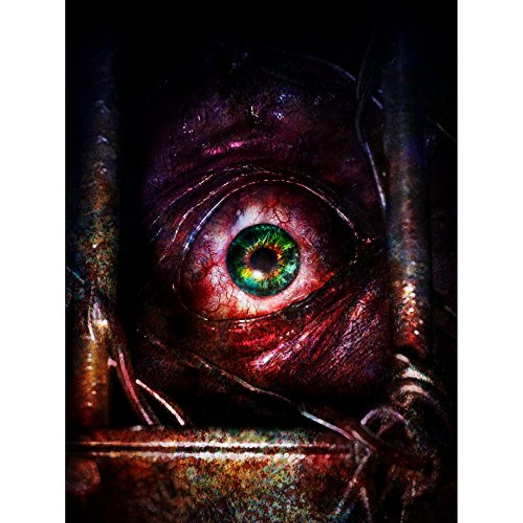 Playstation 3 Resident Evil: Revelations 2 K23077