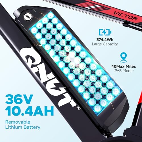 350W 26" 21 Speed Electric Bike with Dual Disc Brake S375