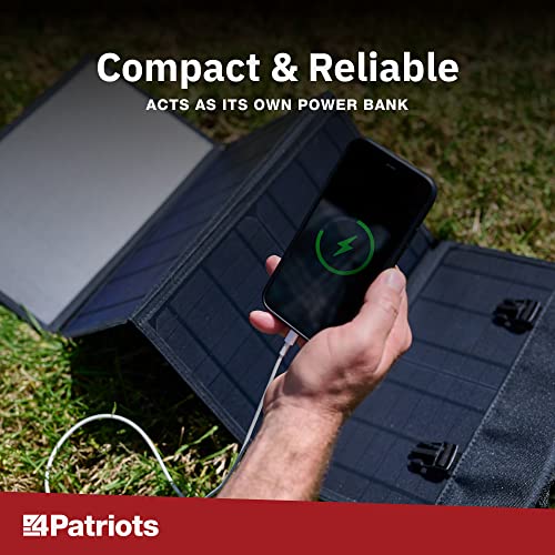 Patriot Power Sidekick Generator N33732