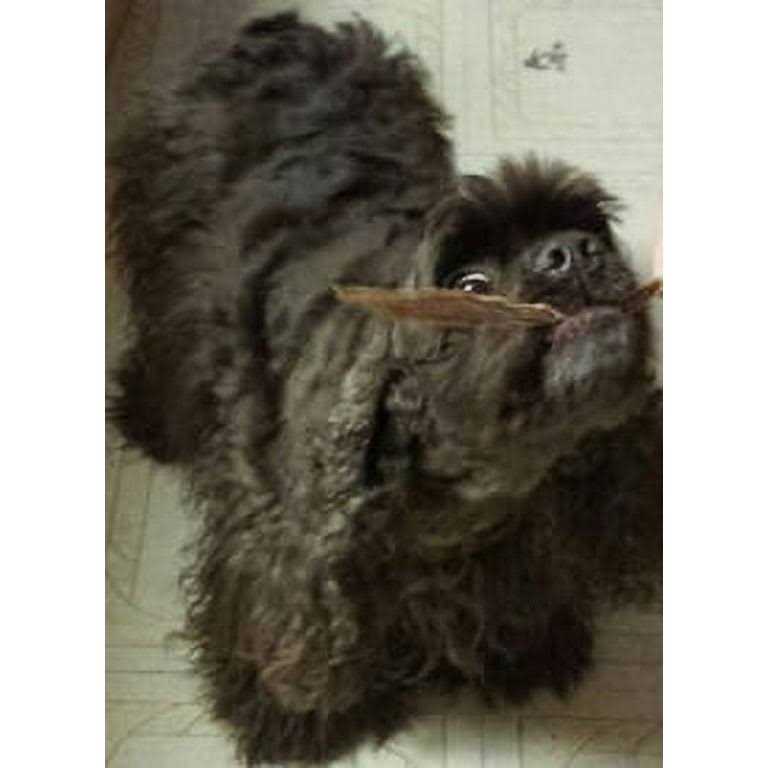 Duck Jerky Strips L1625