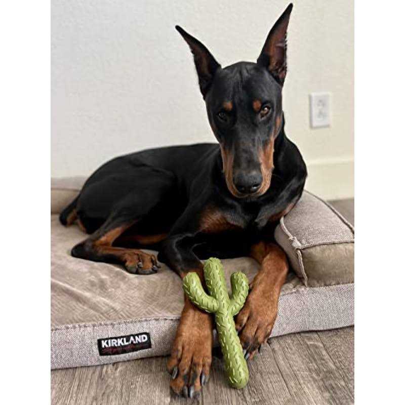 Puppy Teething Chew Toys V88257