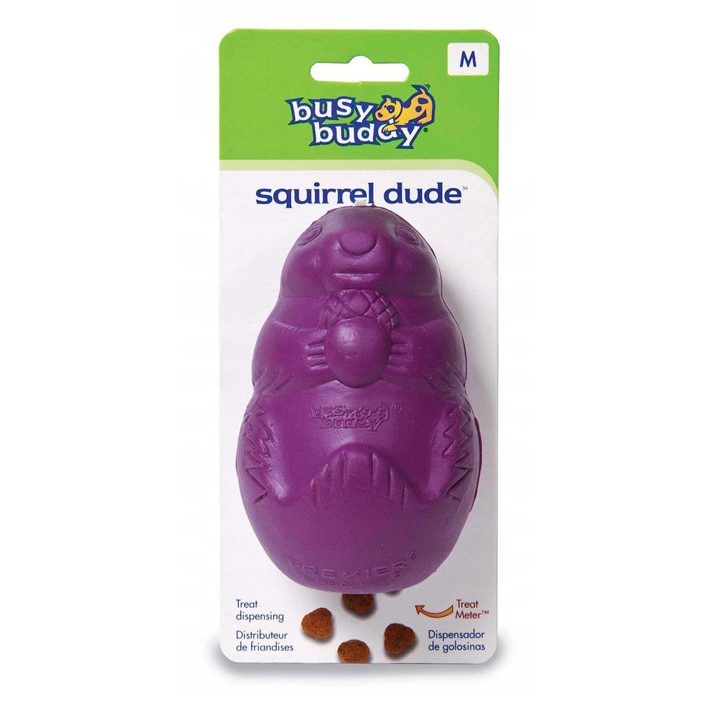 Squirrel Dude Dog Toy I509