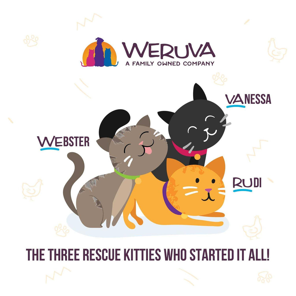 Wet Cat Food Variety Pack H49461