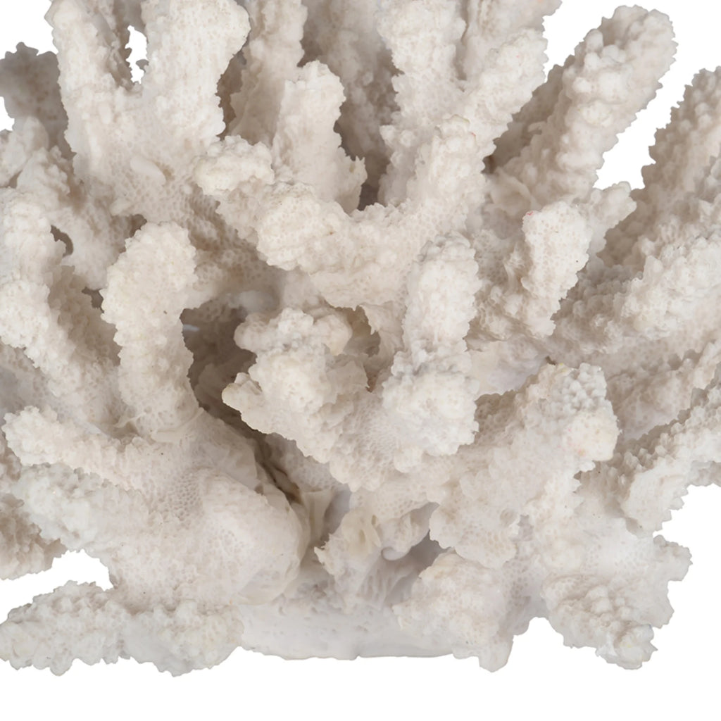 White Faux Coral Sculpture D433