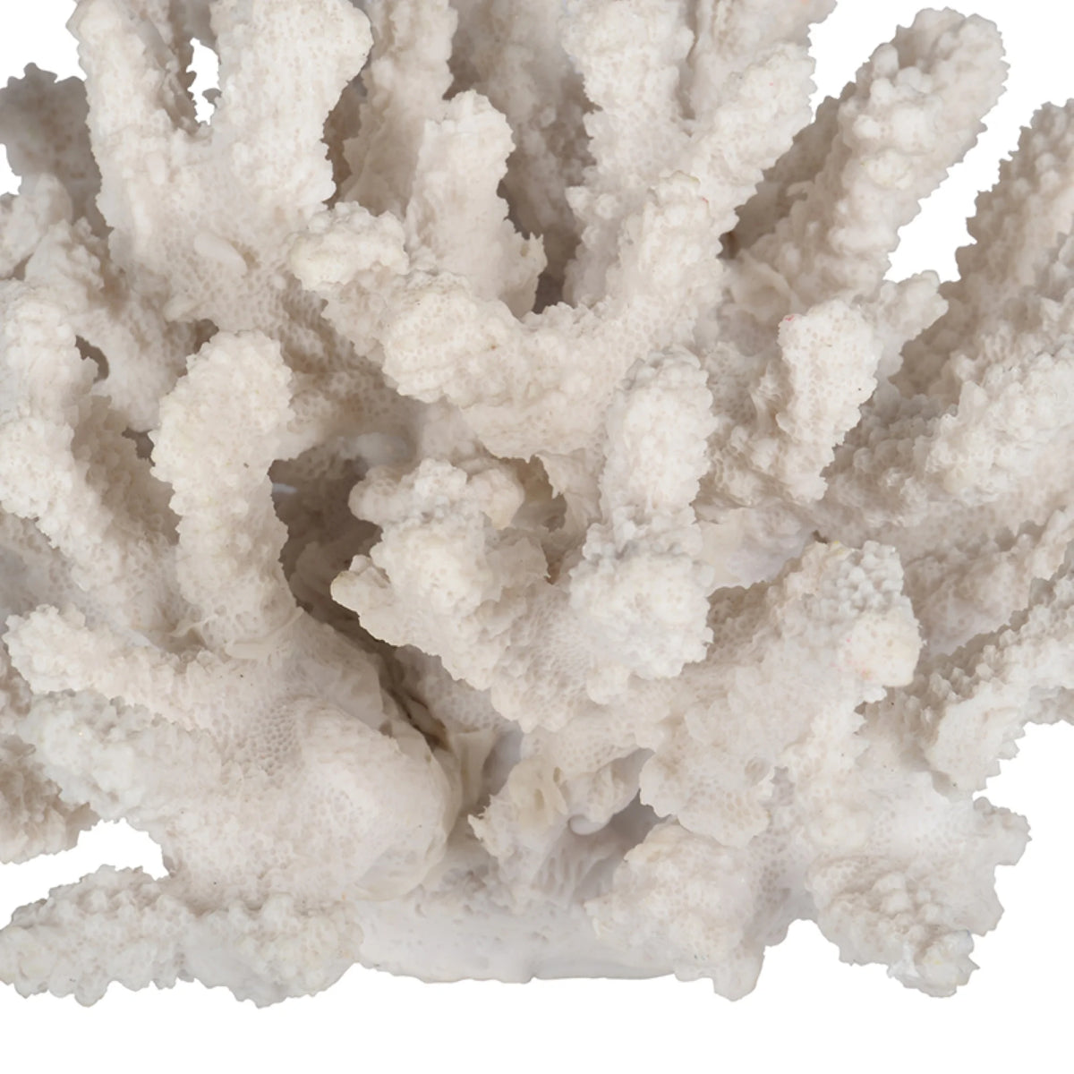 White Faux Coral Sculpture D433