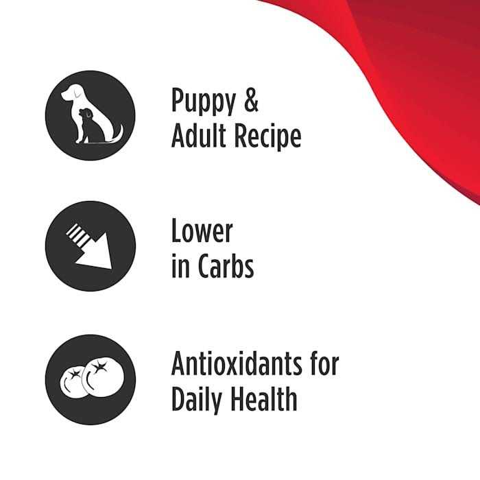 Grain Free Salmon Dog Food K4759