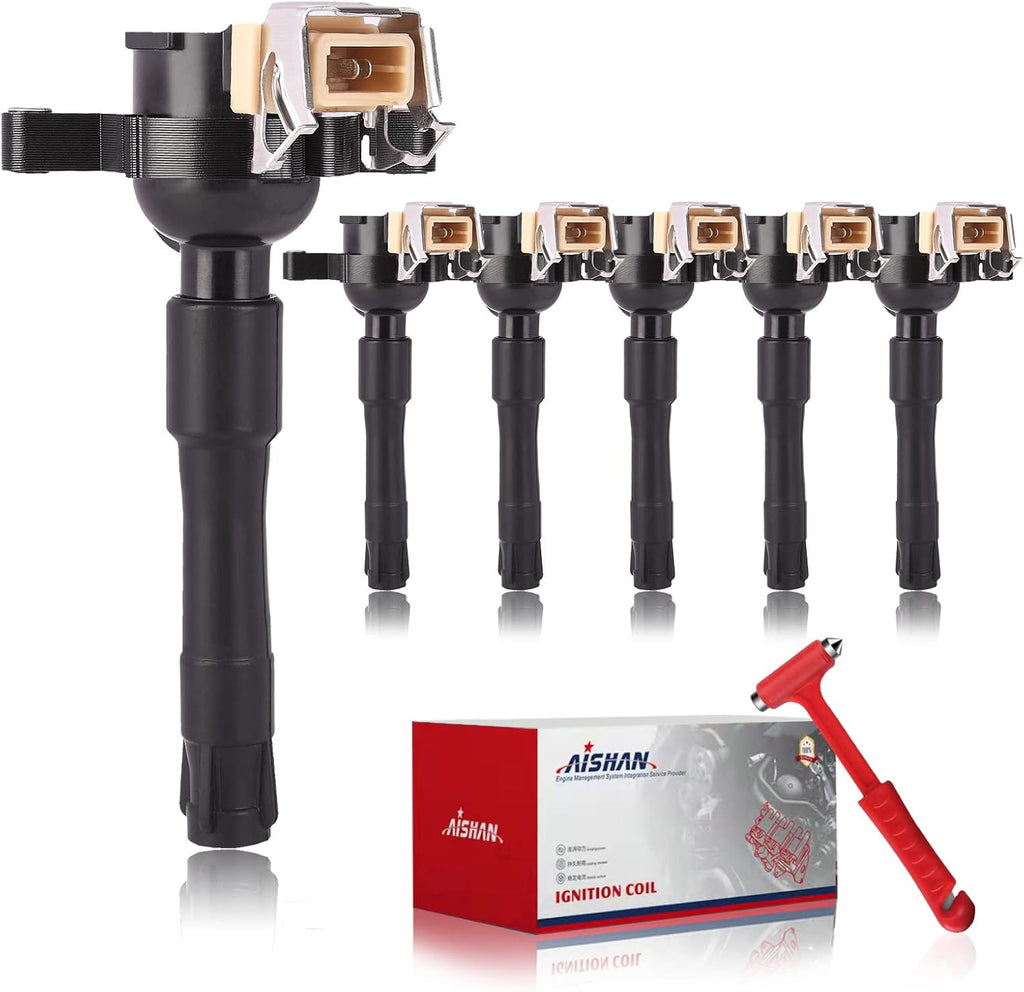 Set of 6 Ignition Coil Pack R6516