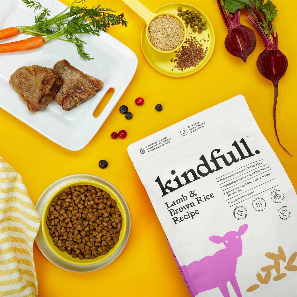 Lamb & Brown Rice Recipe Dry Dog Food T523