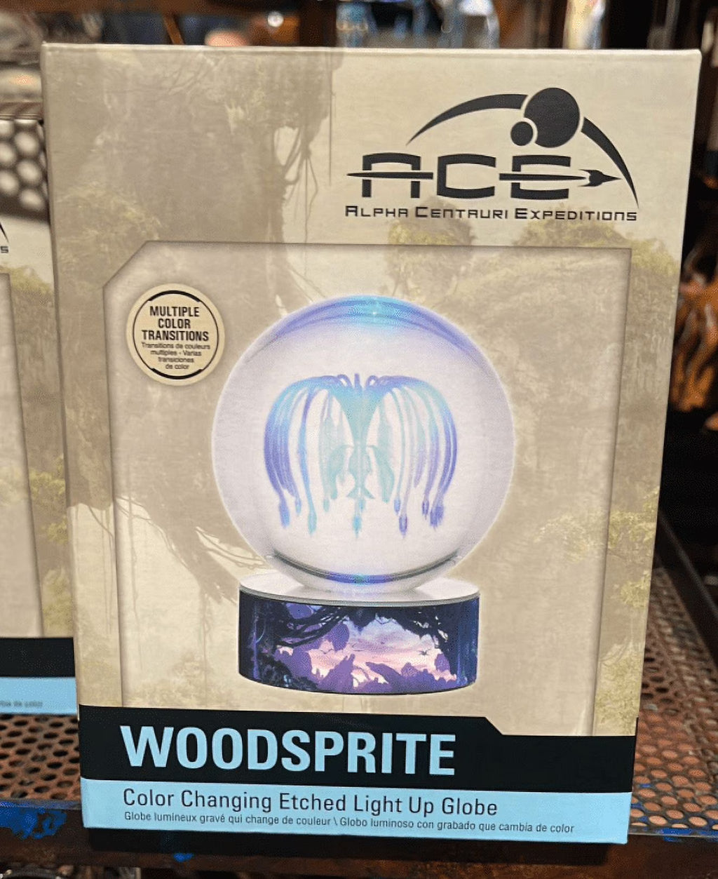 Color Changing Etched Light Up Globe B638