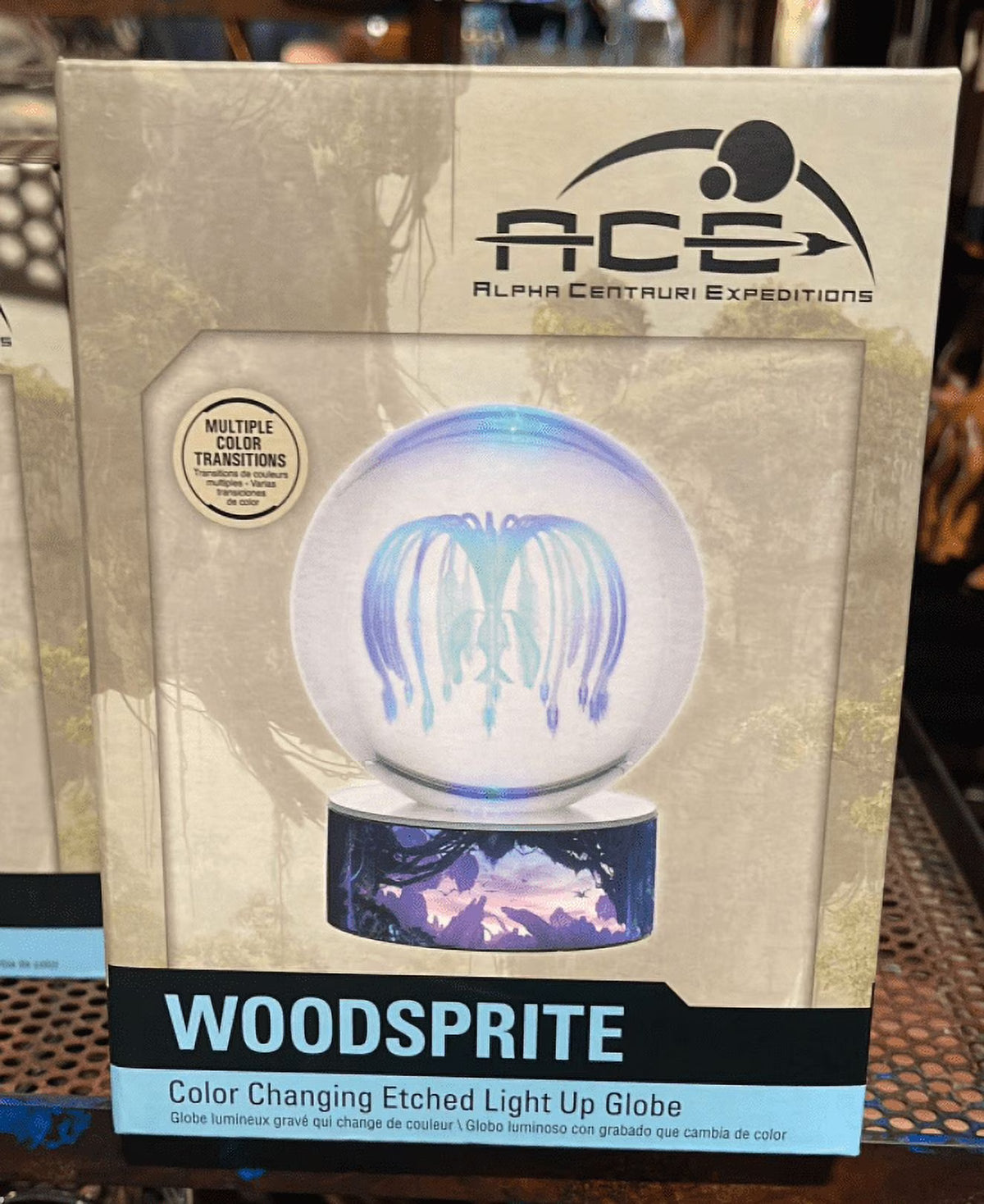 Color Changing Etched Light Up Globe B638