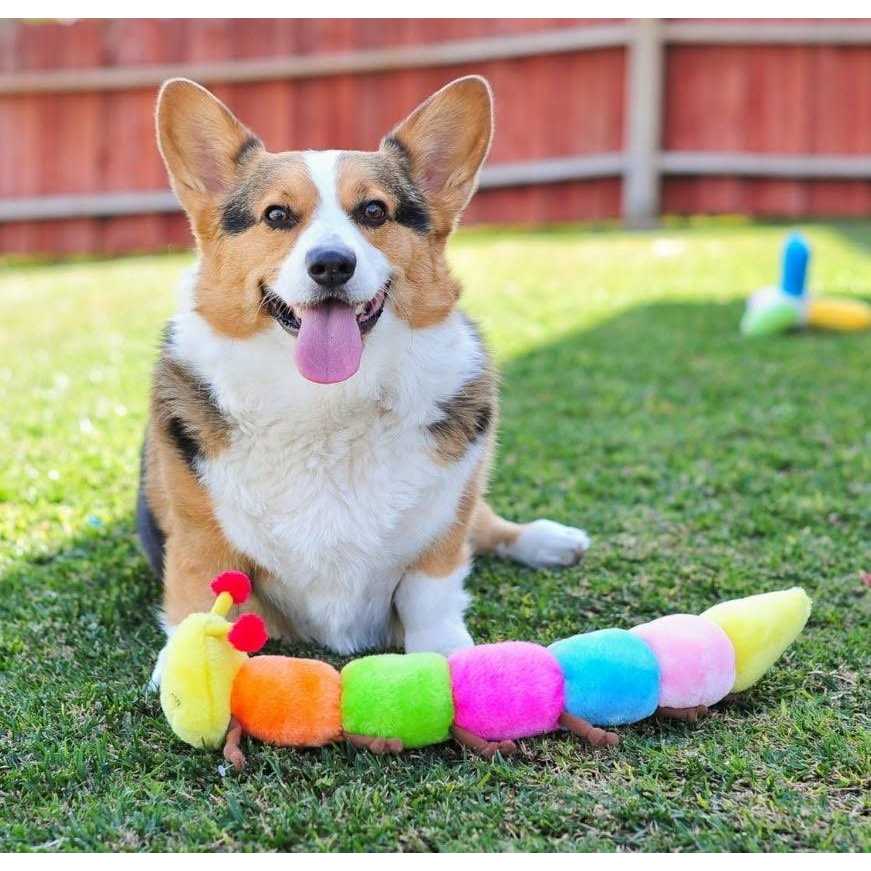 Caterpillar Dog Toy L6857
