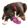 Squirrel Dude Dog Toy I509