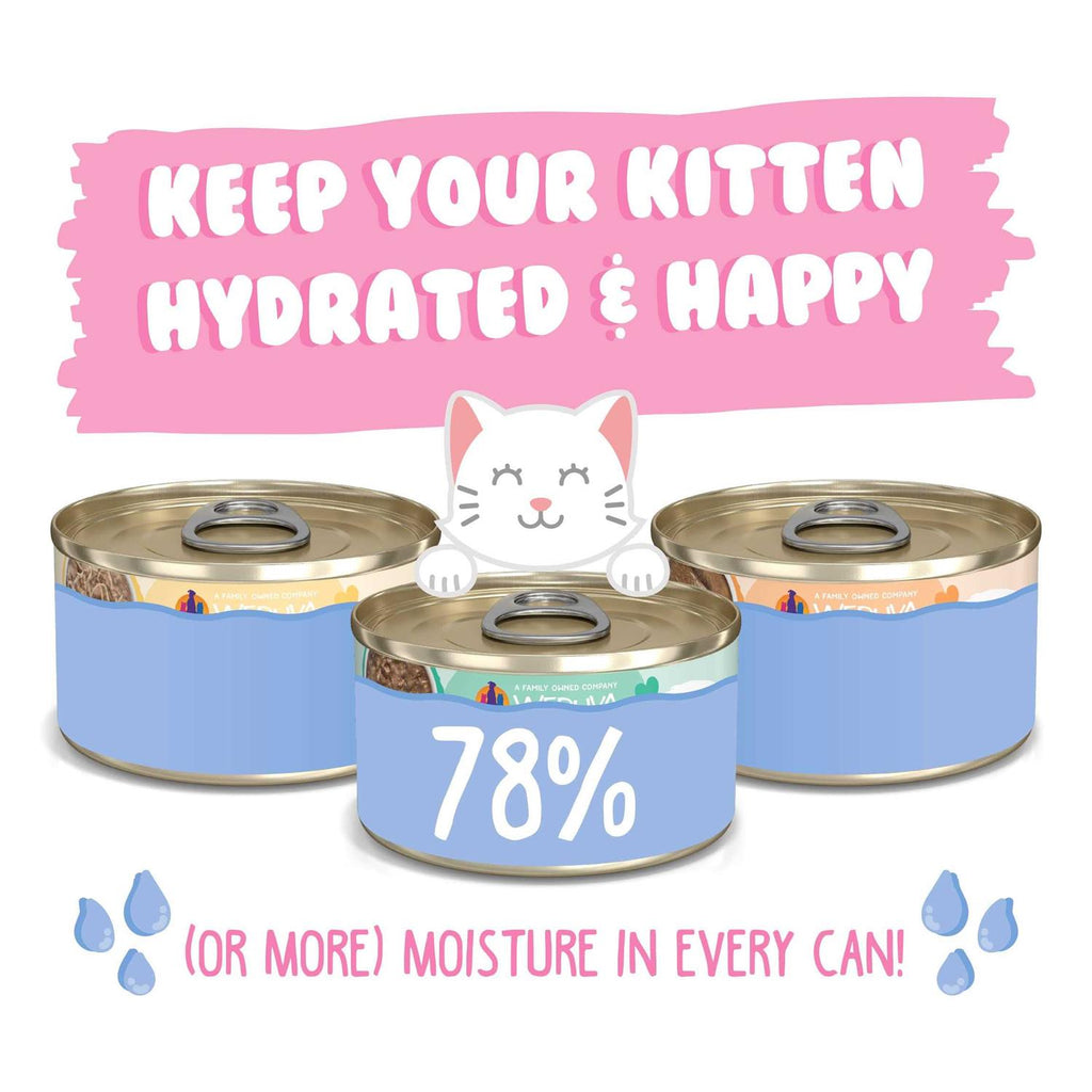 Wet Cat Food Variety Pack W536422