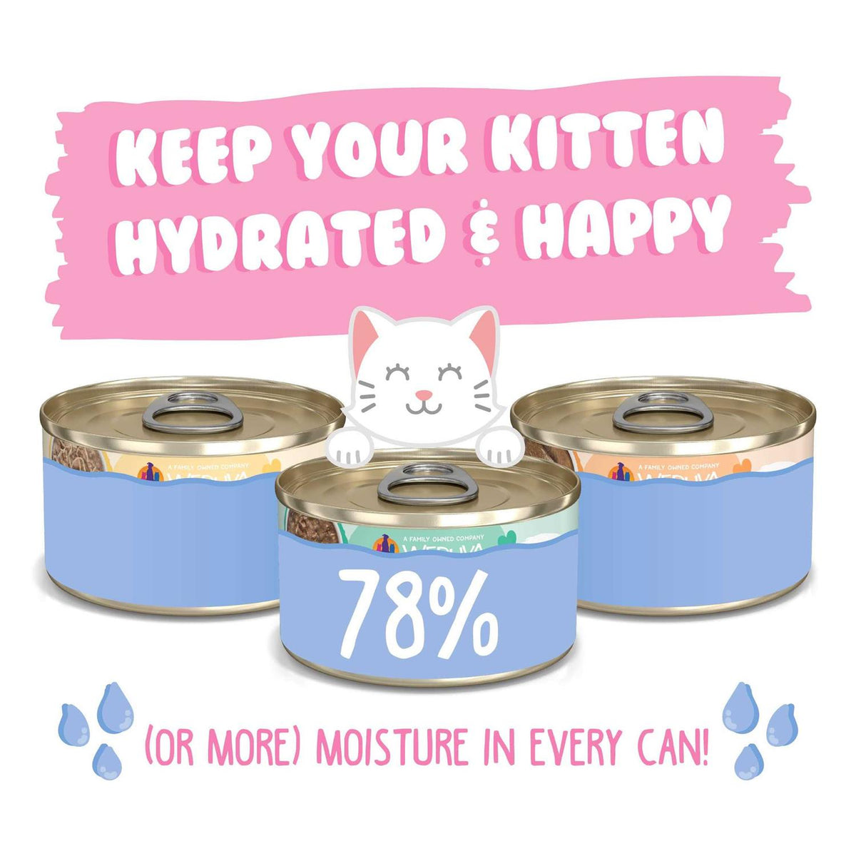 Wet Cat Food Variety Pack W536422