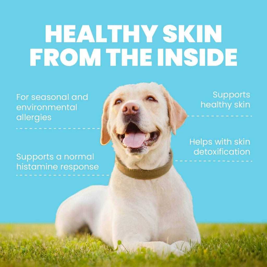 Pet Supplies D9929