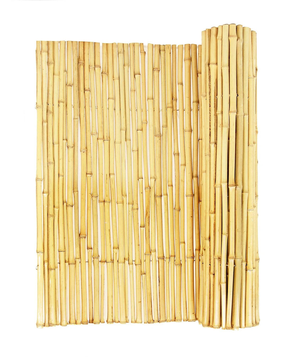 Natural Bamboo Fence C54162