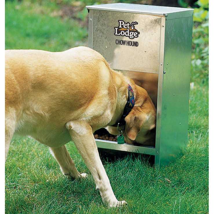 Dog Feeder E71233