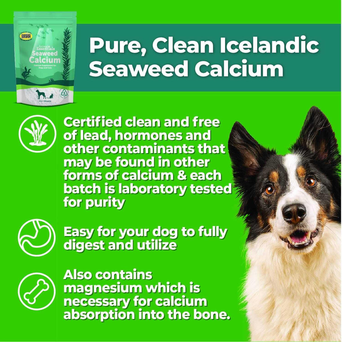 Seaweed Calcium for Dogs and Cats L81973
