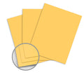 Goldenrod Carbonless Paper 11 x 17 in 20 lb Bond 500 per Ream L882