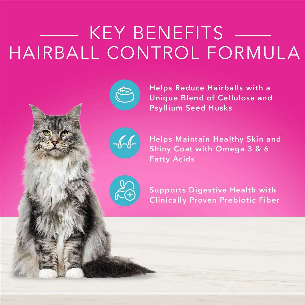 Adult Dry Cat Food Z170