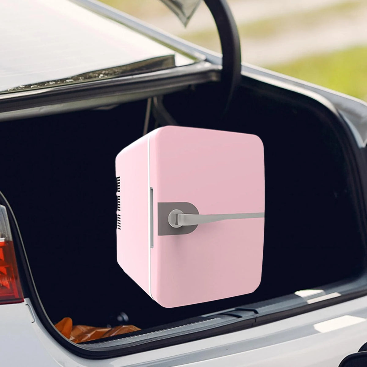 4L Portable Mini Fridge V156