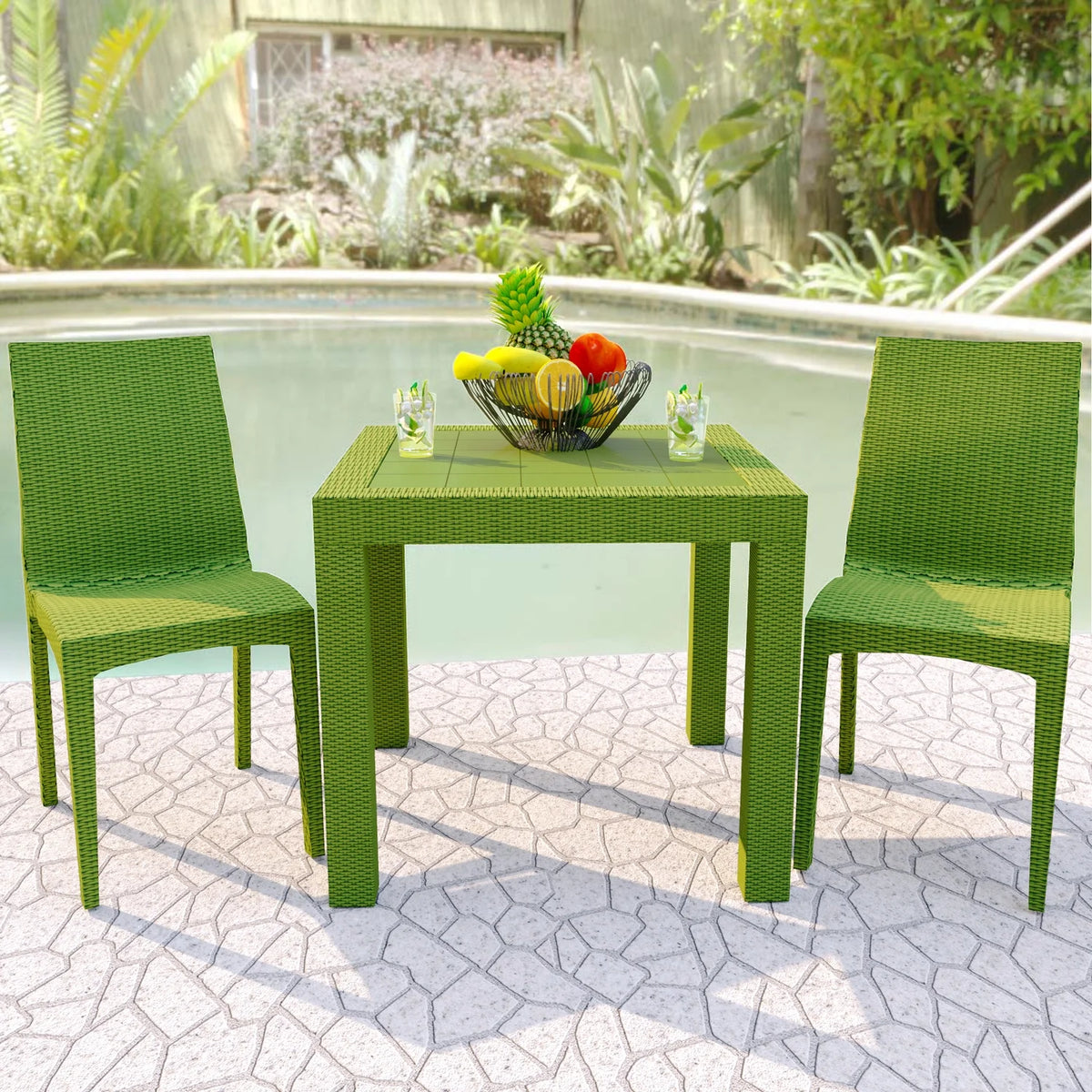 Indoor/Outdoor Dining Chair Set of 2 R869820