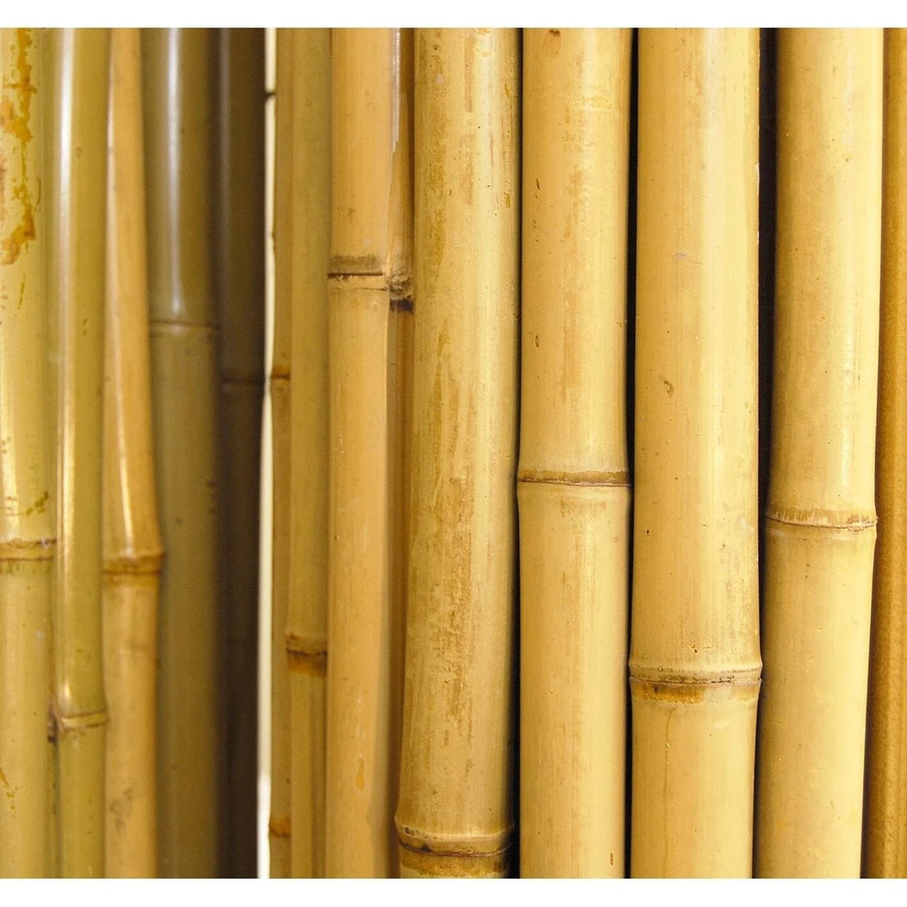 Natural Bamboo Fence C54162