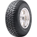 All-Season Tire J818