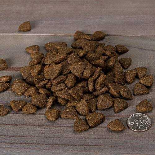 Grain-Free Turkey & Sweet Potato Recipe Dry Dog Food E3078