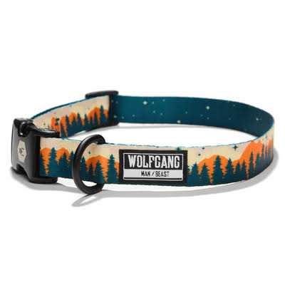 Dog Collar P21286