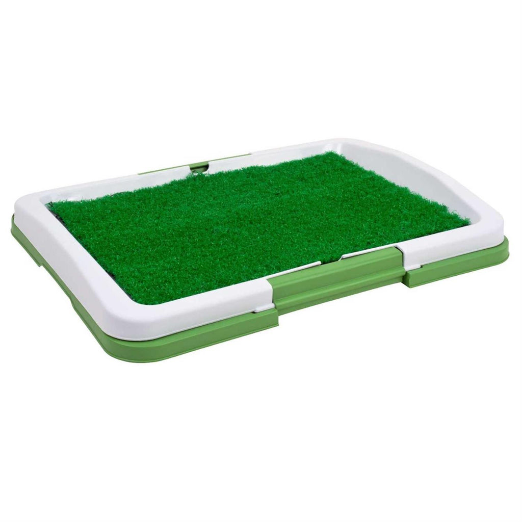 Potty Trainer P3030