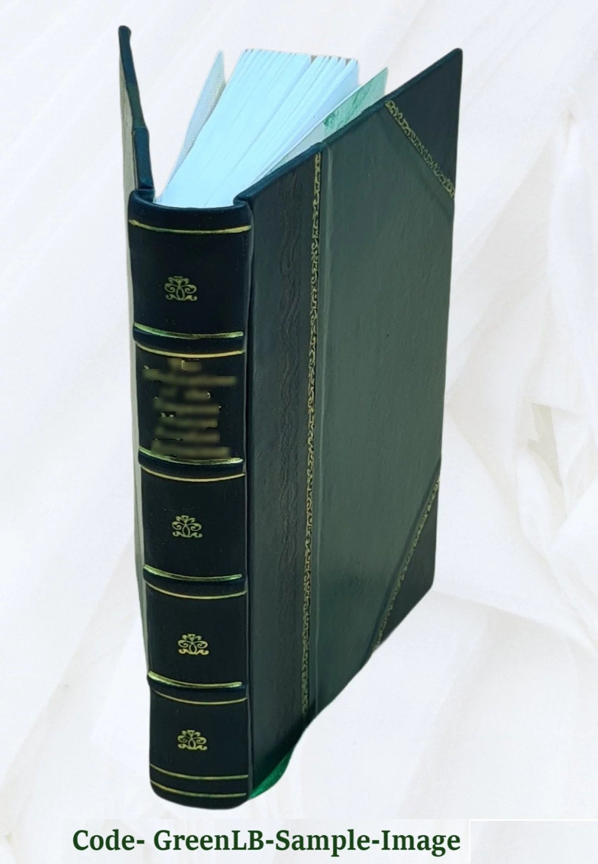 Leather Bound A69484