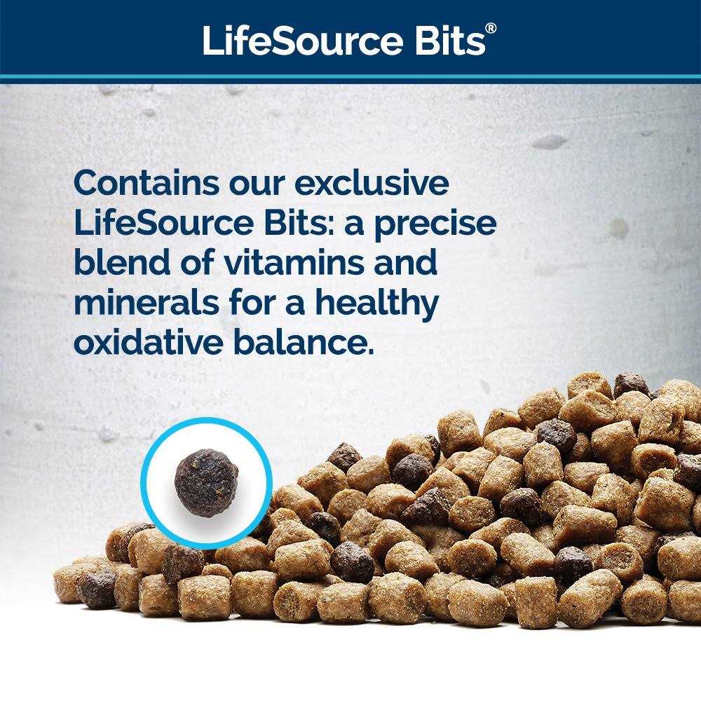 High Protein Dry Cat Food D8937