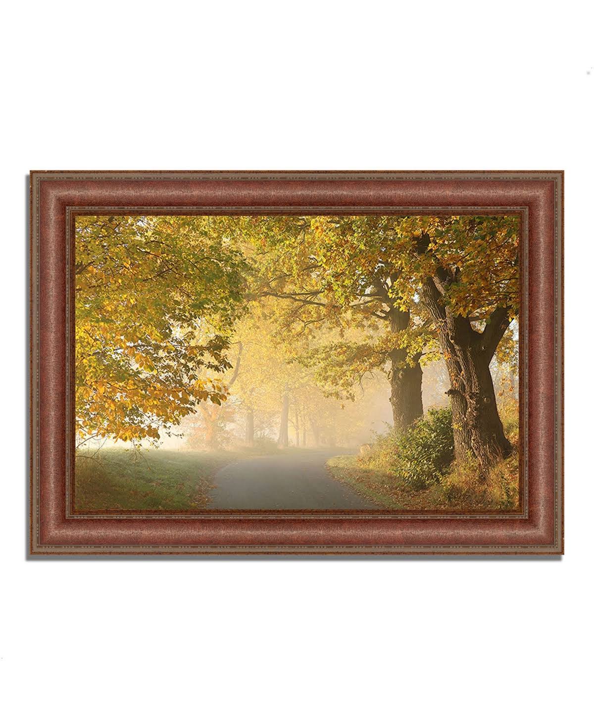 Framed Photograph Print D9563